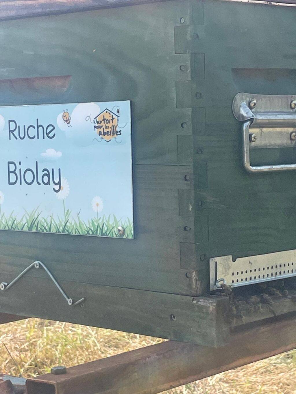 La ruche Biolay