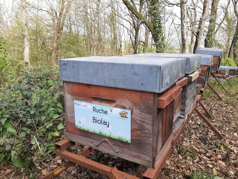 La ruche Biolay