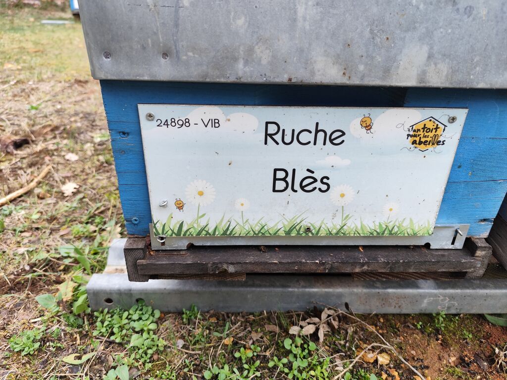 La ruche 