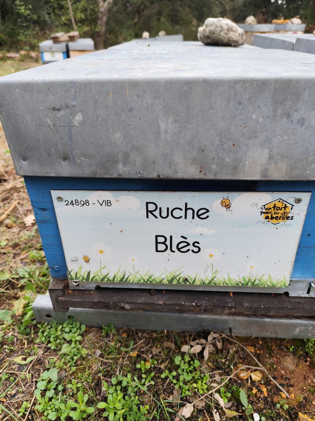 La ruche Blès