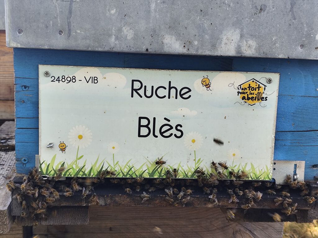 La ruche Blès