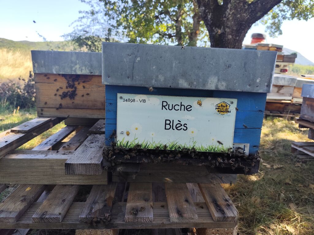 La ruche Blès