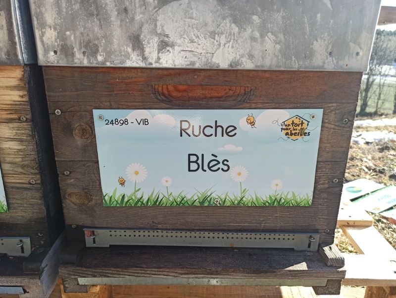 La ruche