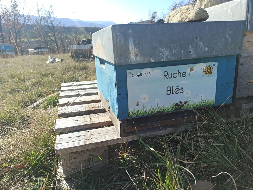 La ruche Blès