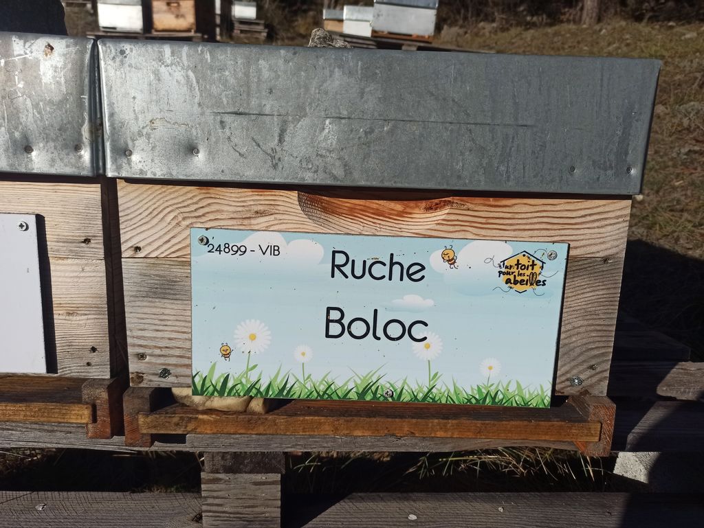 La ruche Boloc