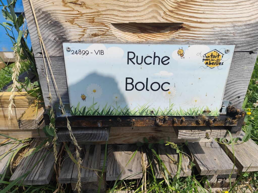 La ruche Boloc