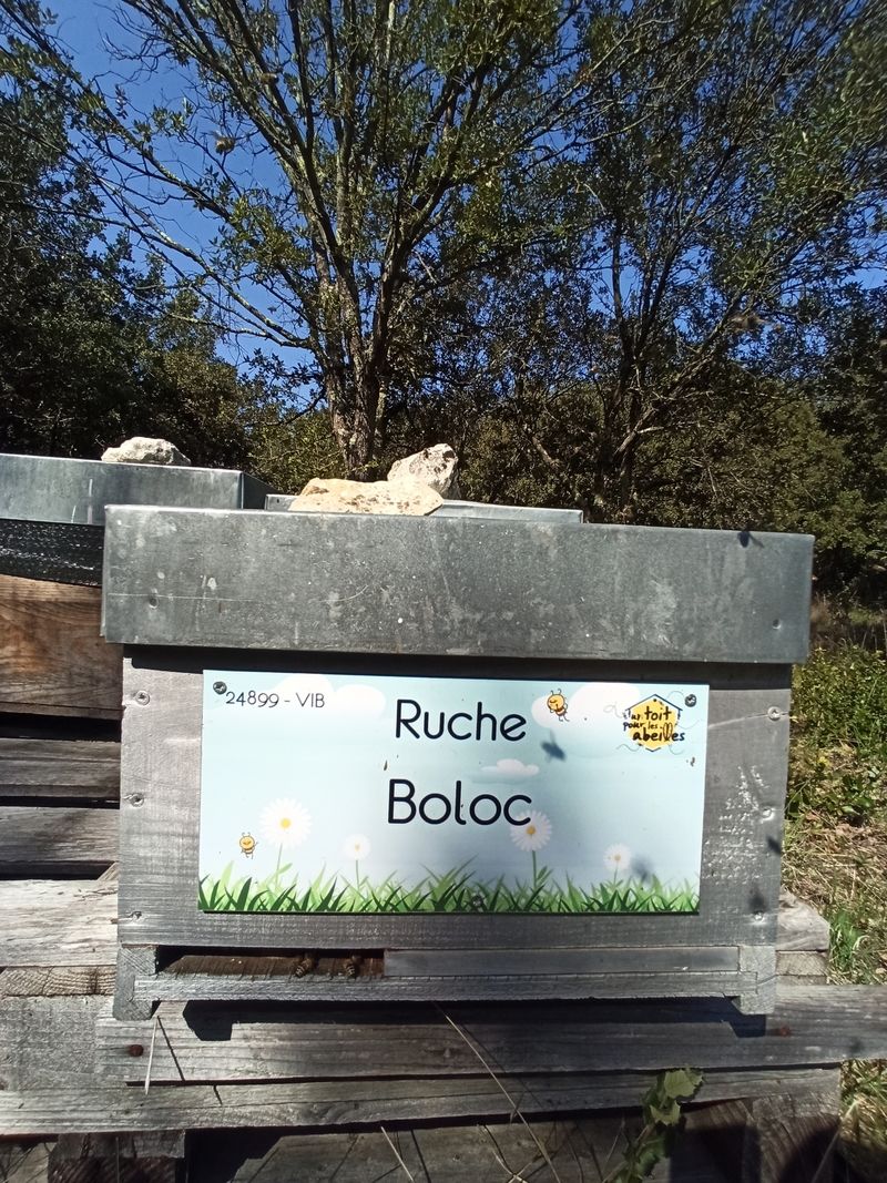 La ruche Boloc