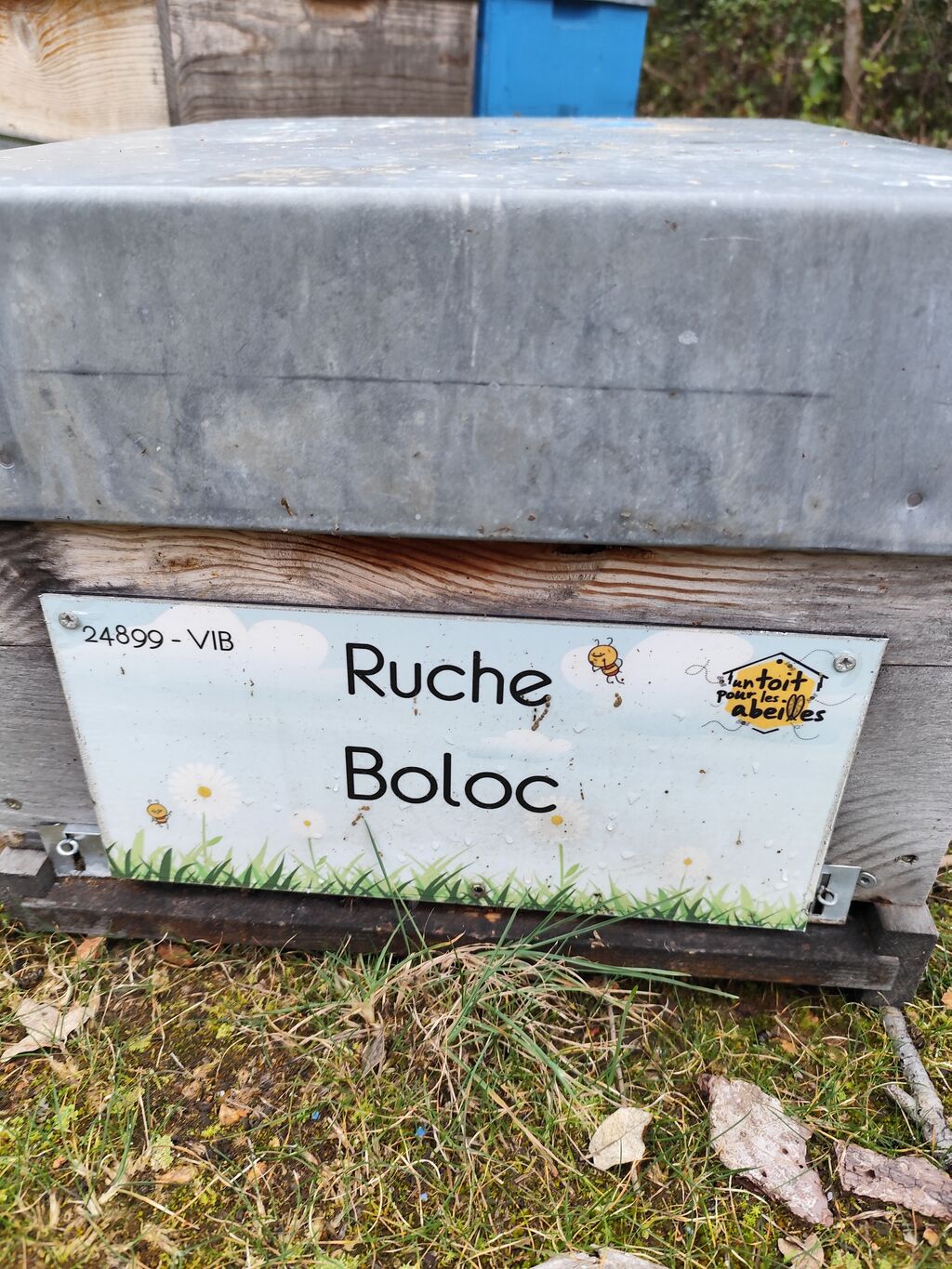 La ruche 