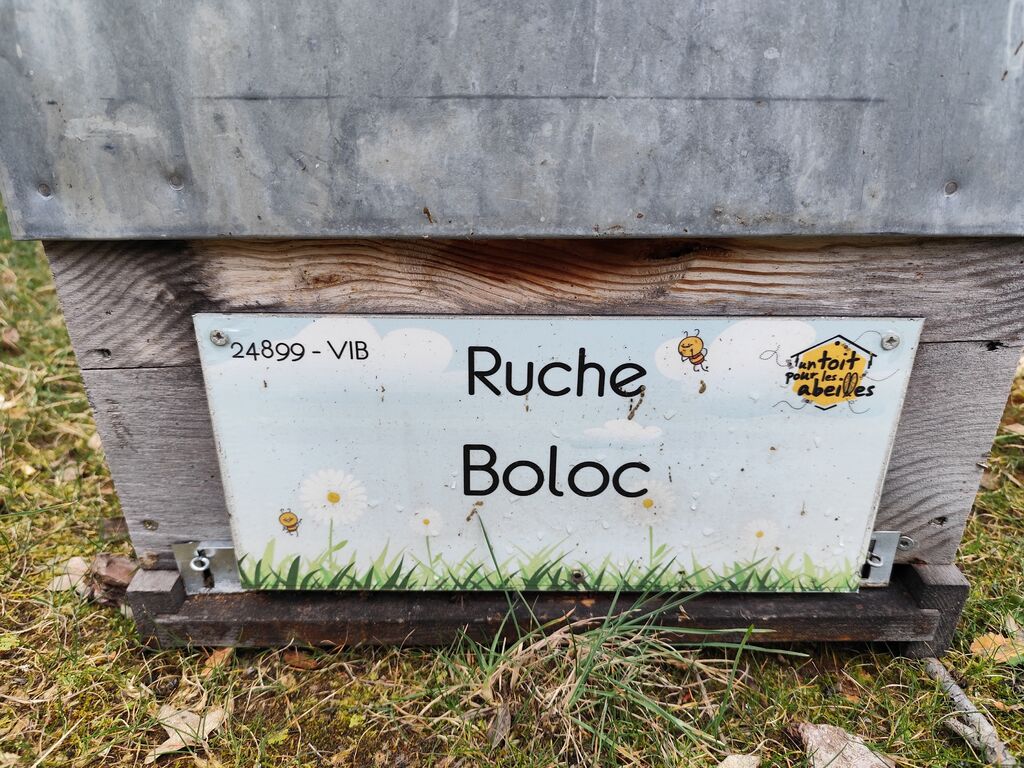 La ruche Boloc