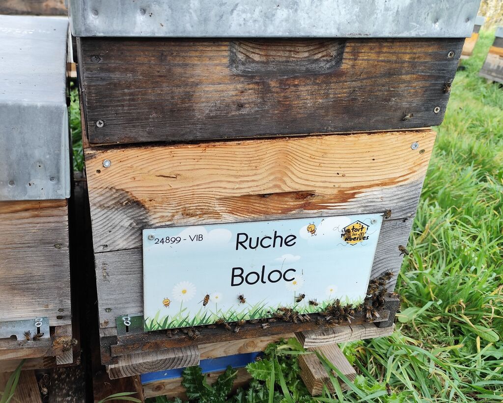 La ruche Boloc
