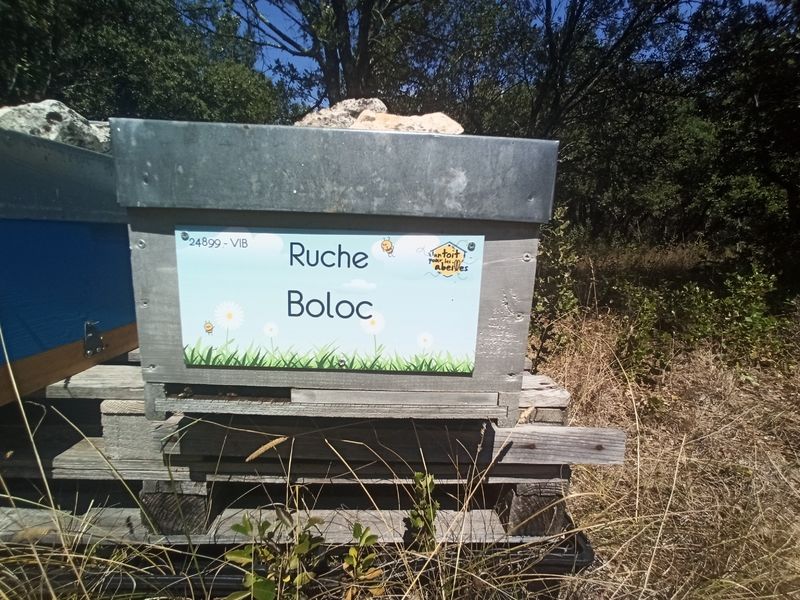 La ruche Boloc