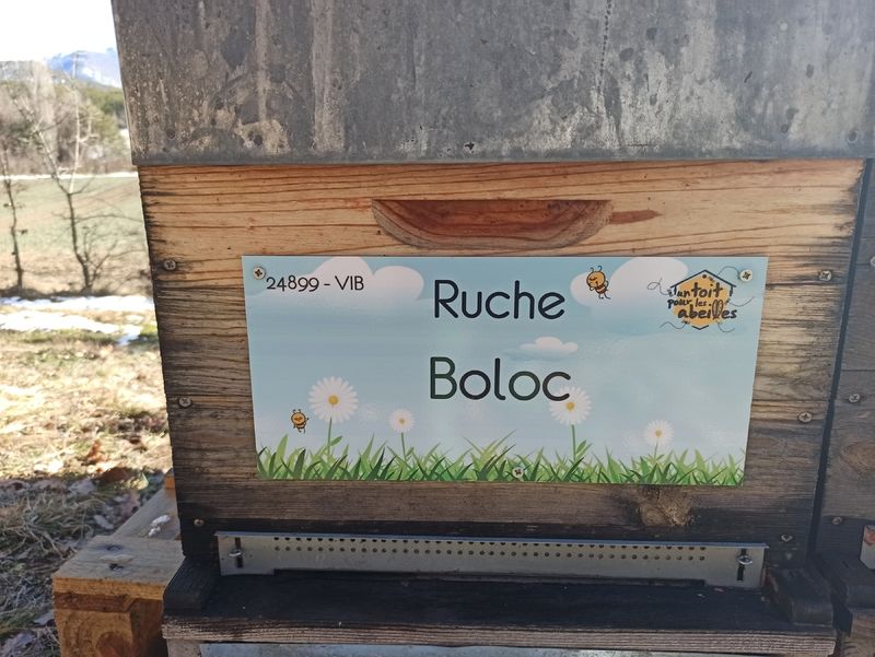 La ruche