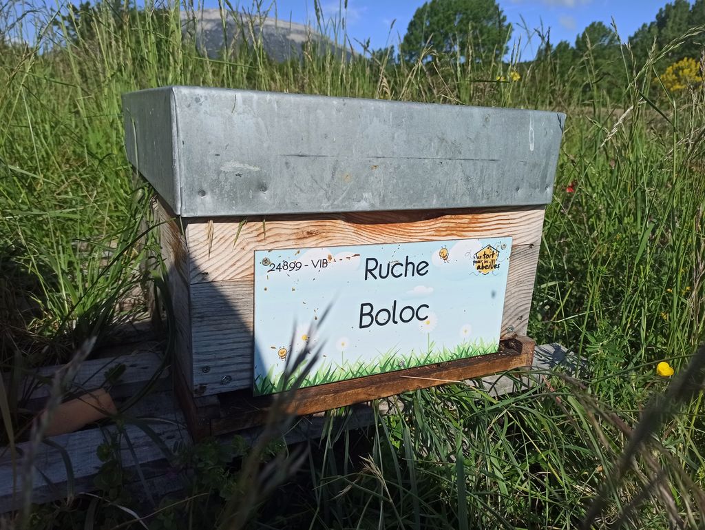 La ruche Boloc