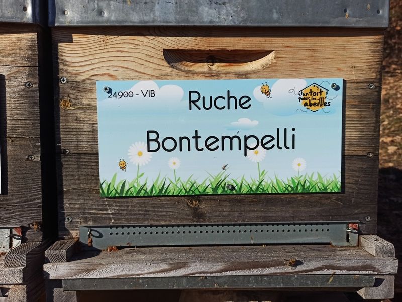 La ruche