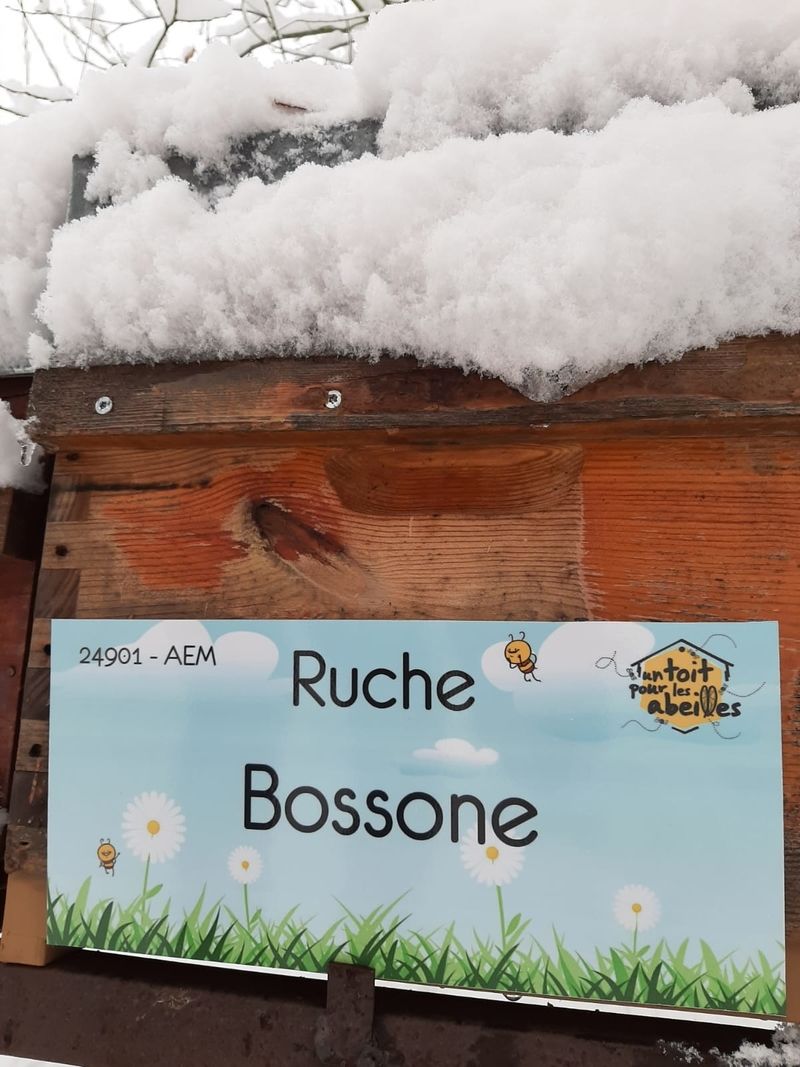 La ruche Bossone