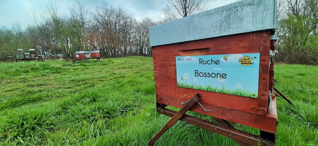 La ruche Bossone
