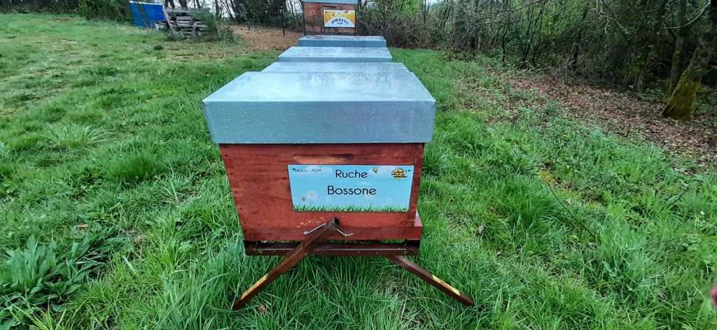 La ruche Bossone