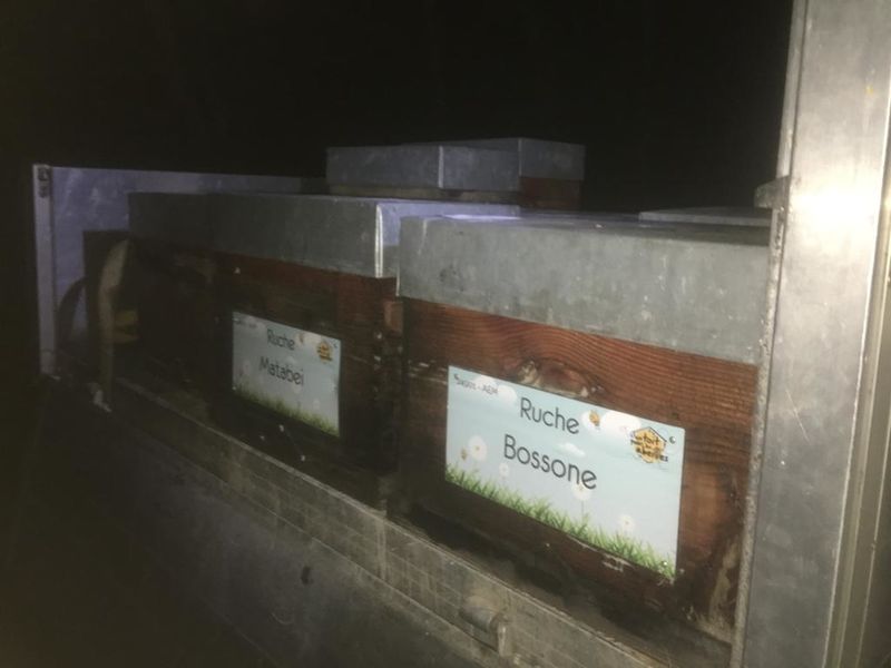 La ruche Bossone