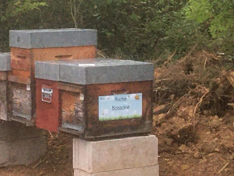 La ruche Bossone