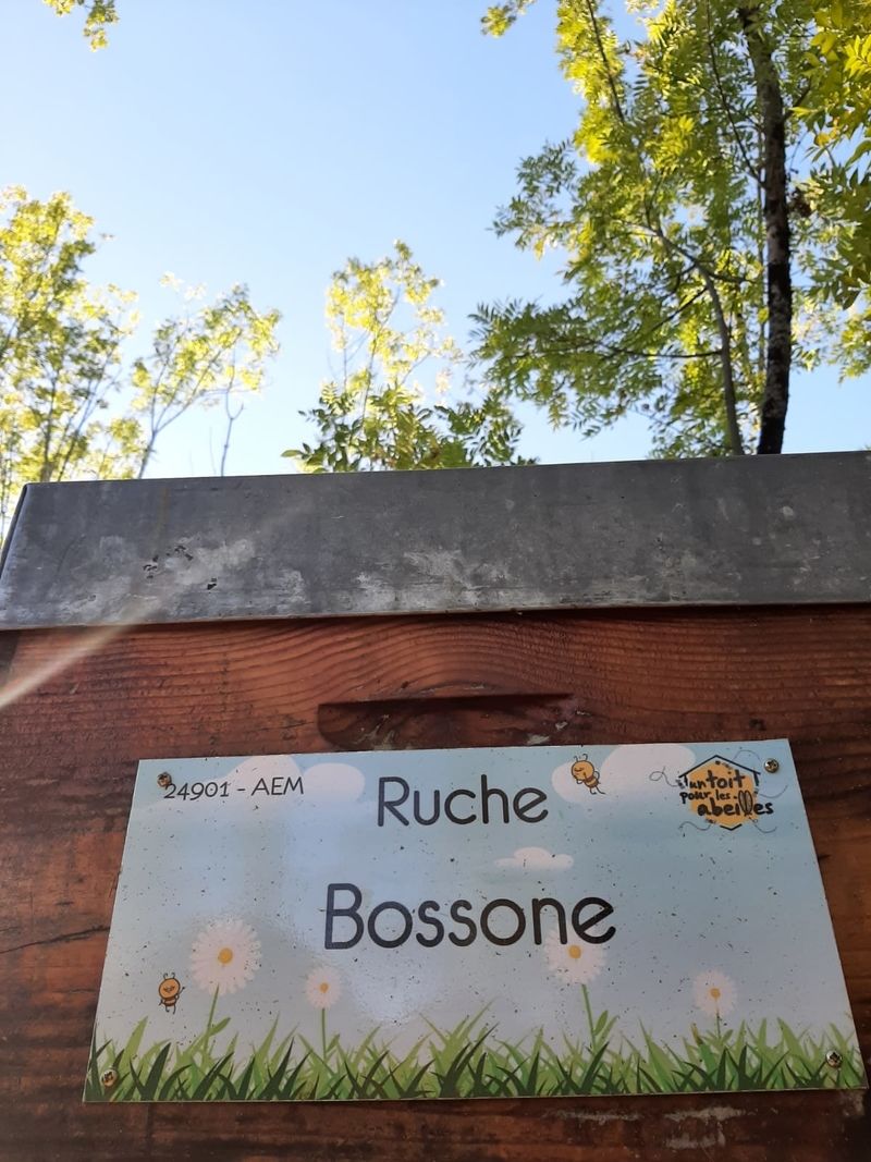 La ruche Bossone