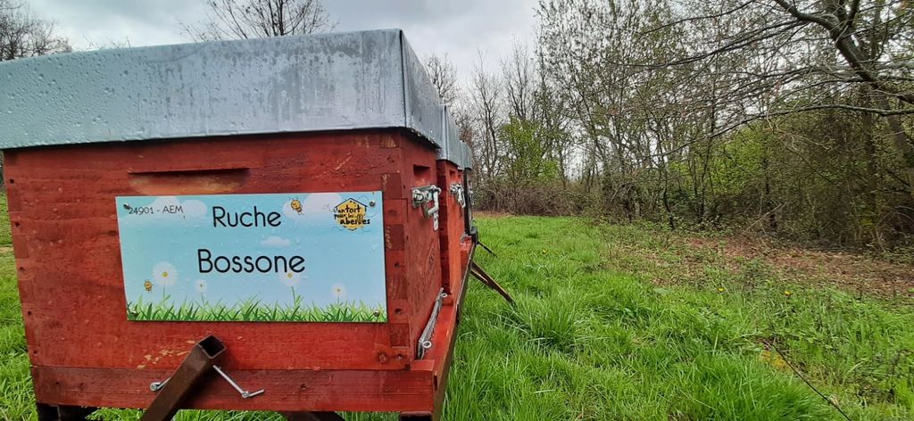 La ruche Bossone