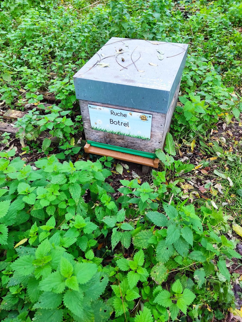 La ruche Botrel