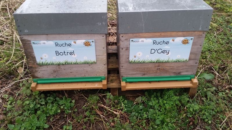 La ruche
