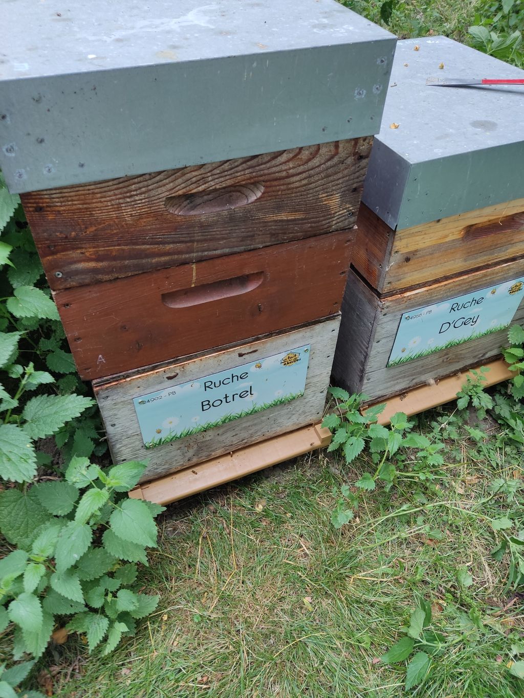 La ruche Botrel