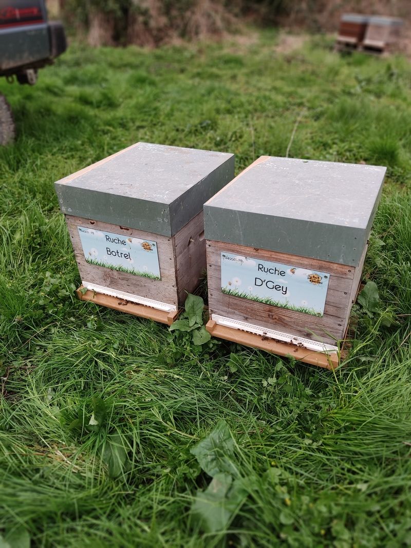 La ruche Botrel