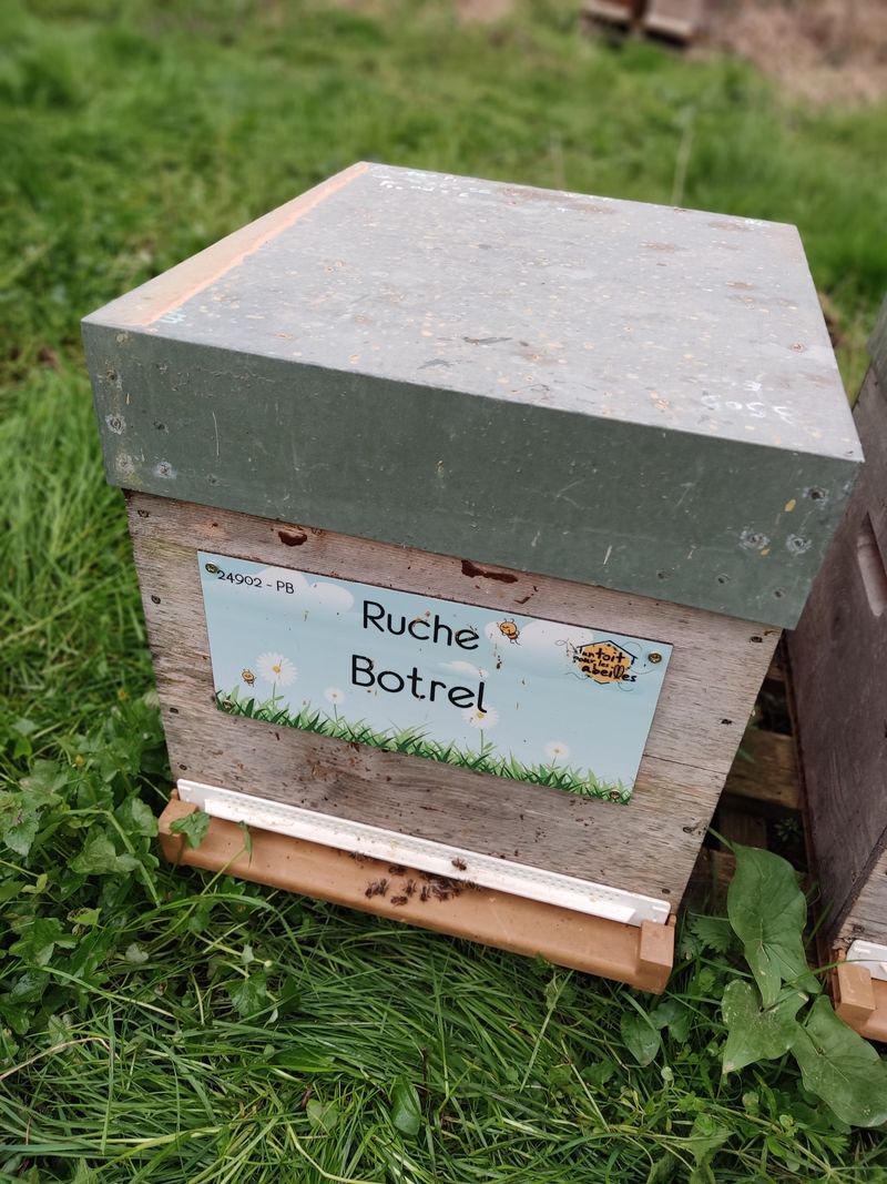 La ruche Botrel