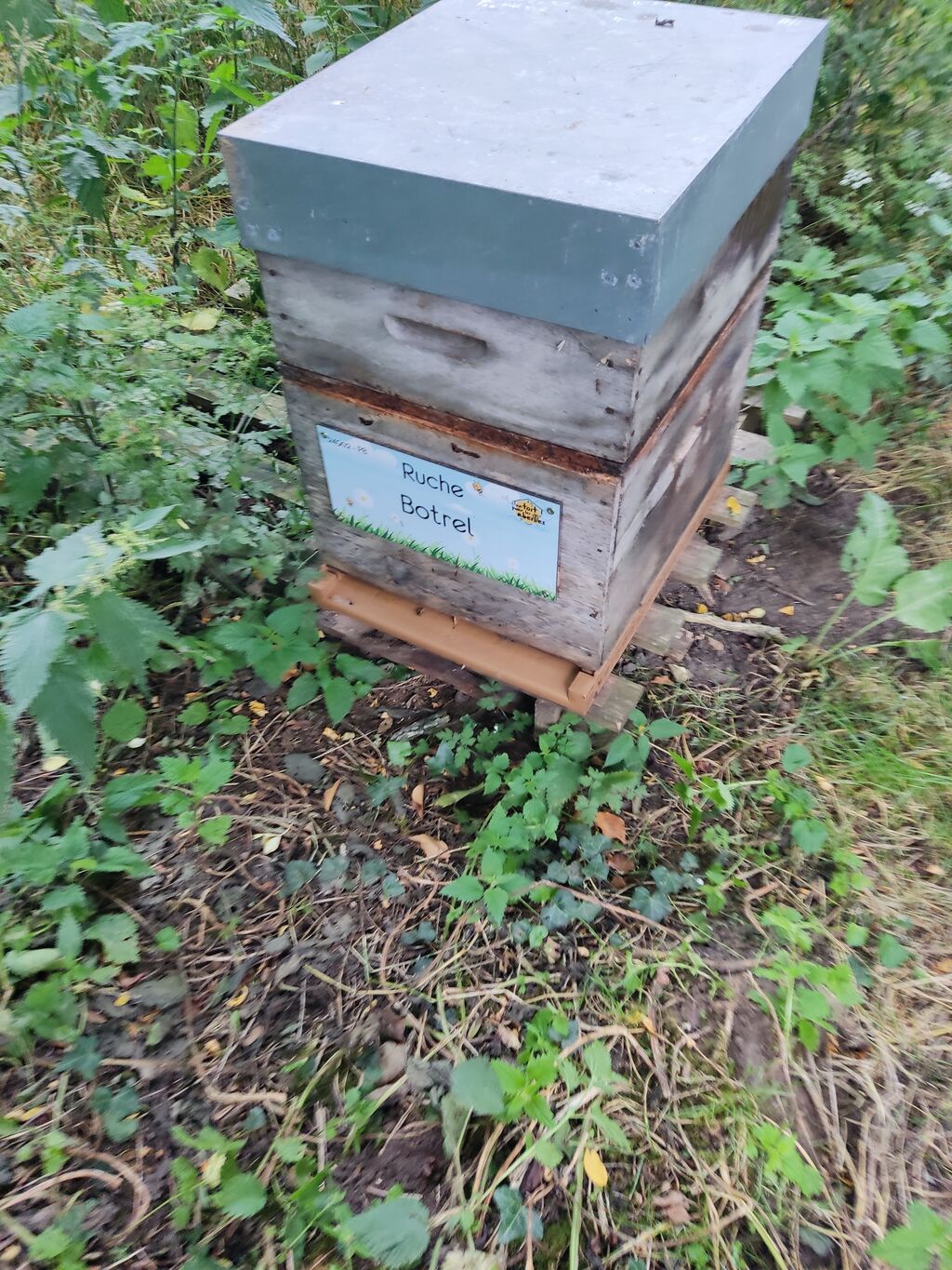 La ruche Botrel
