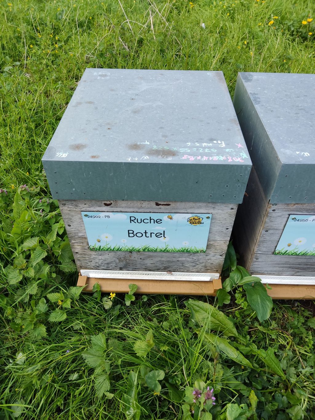 La ruche Botrel