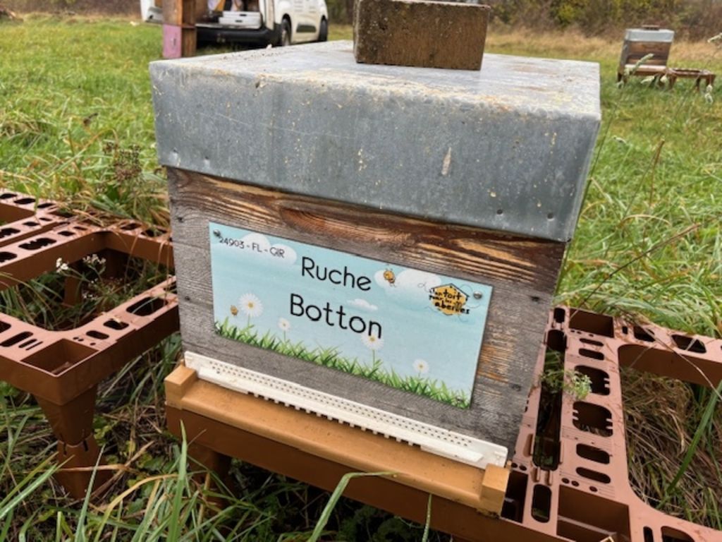 La ruche Botton