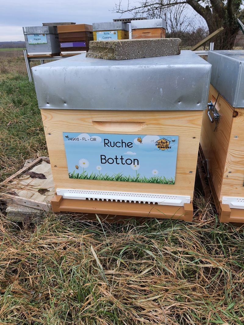 La ruche Botton