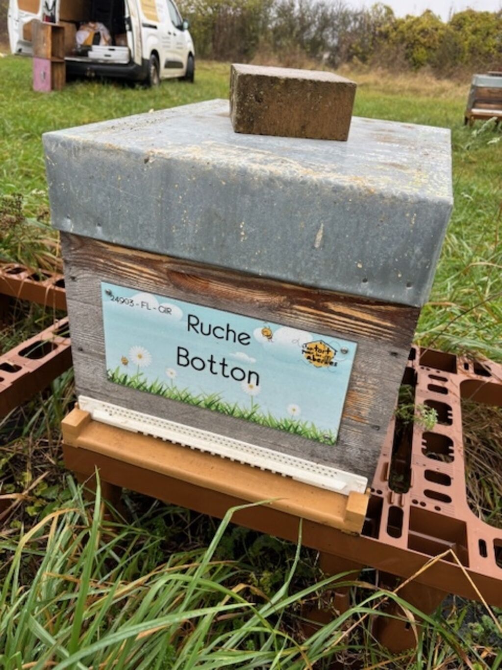 La ruche Botton