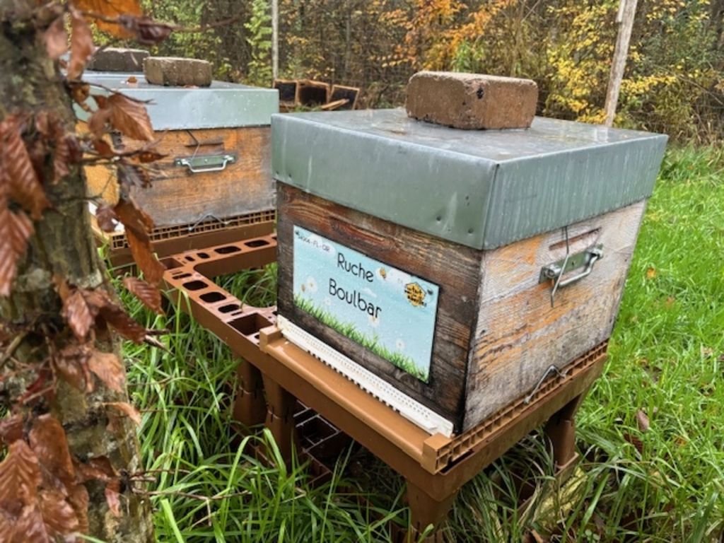La ruche Boulbar