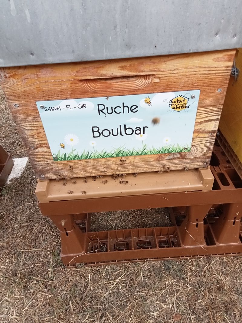 La ruche Boulbar