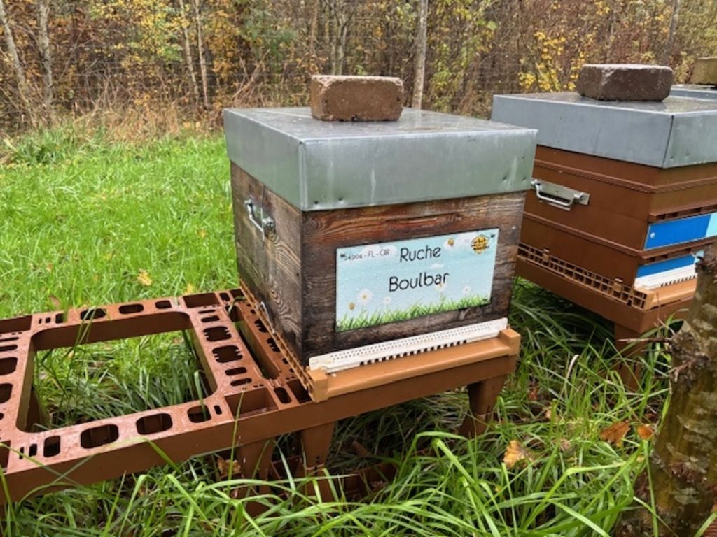 La ruche Boulbar