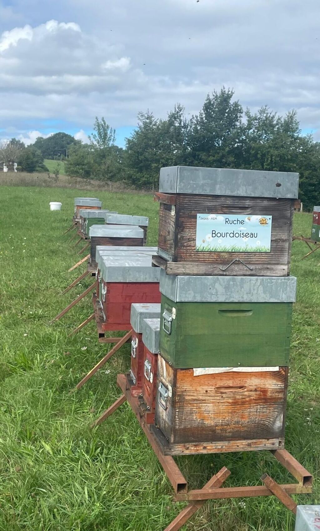 La ruche Bourdoiseau