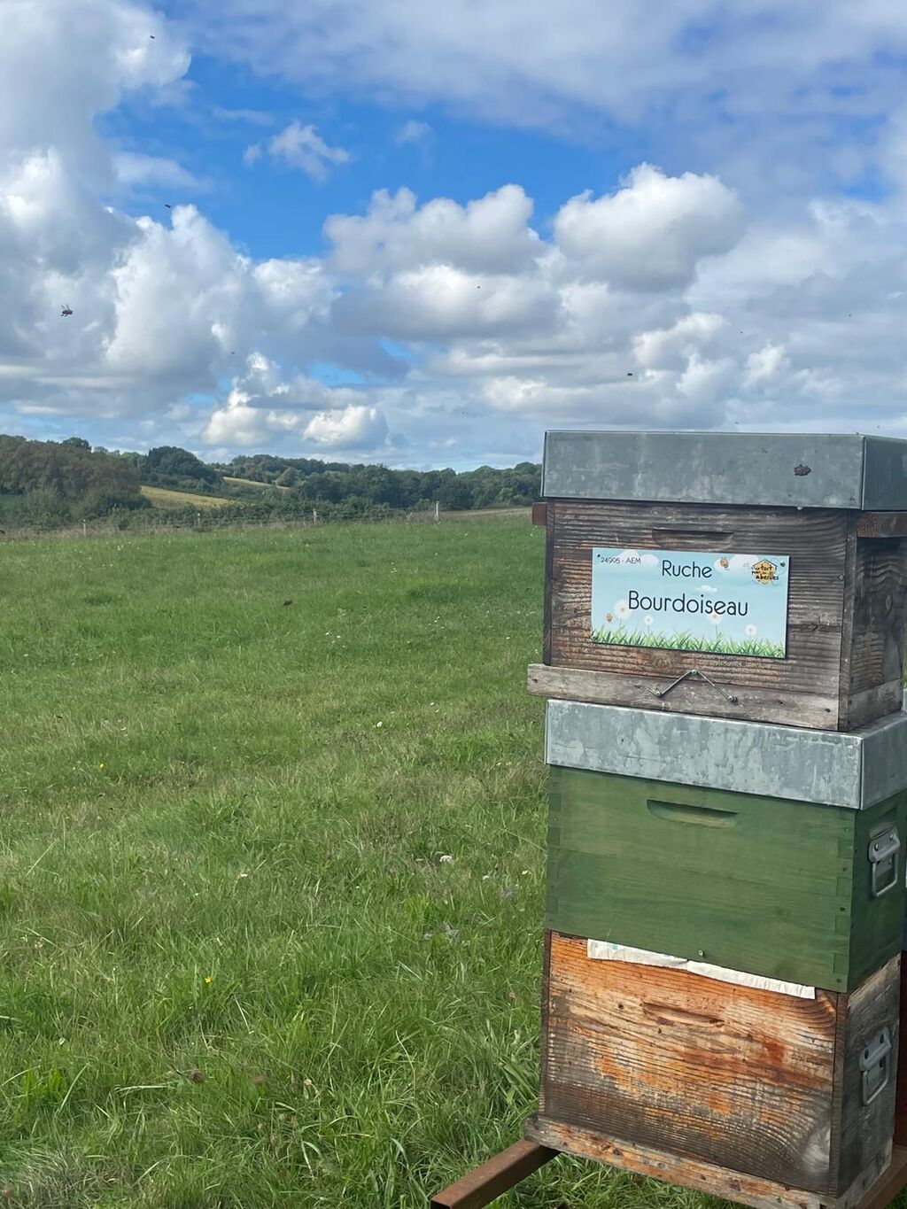 La ruche Bourdoiseau