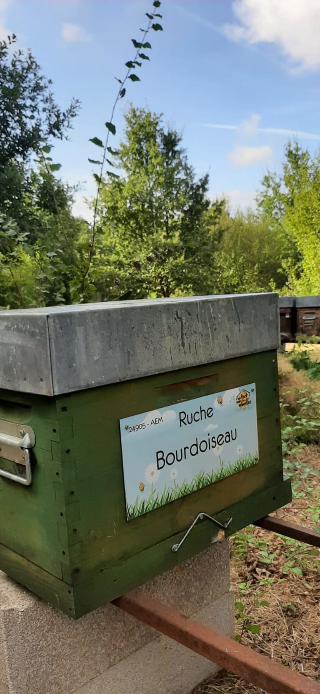 La ruche Bourdoiseau