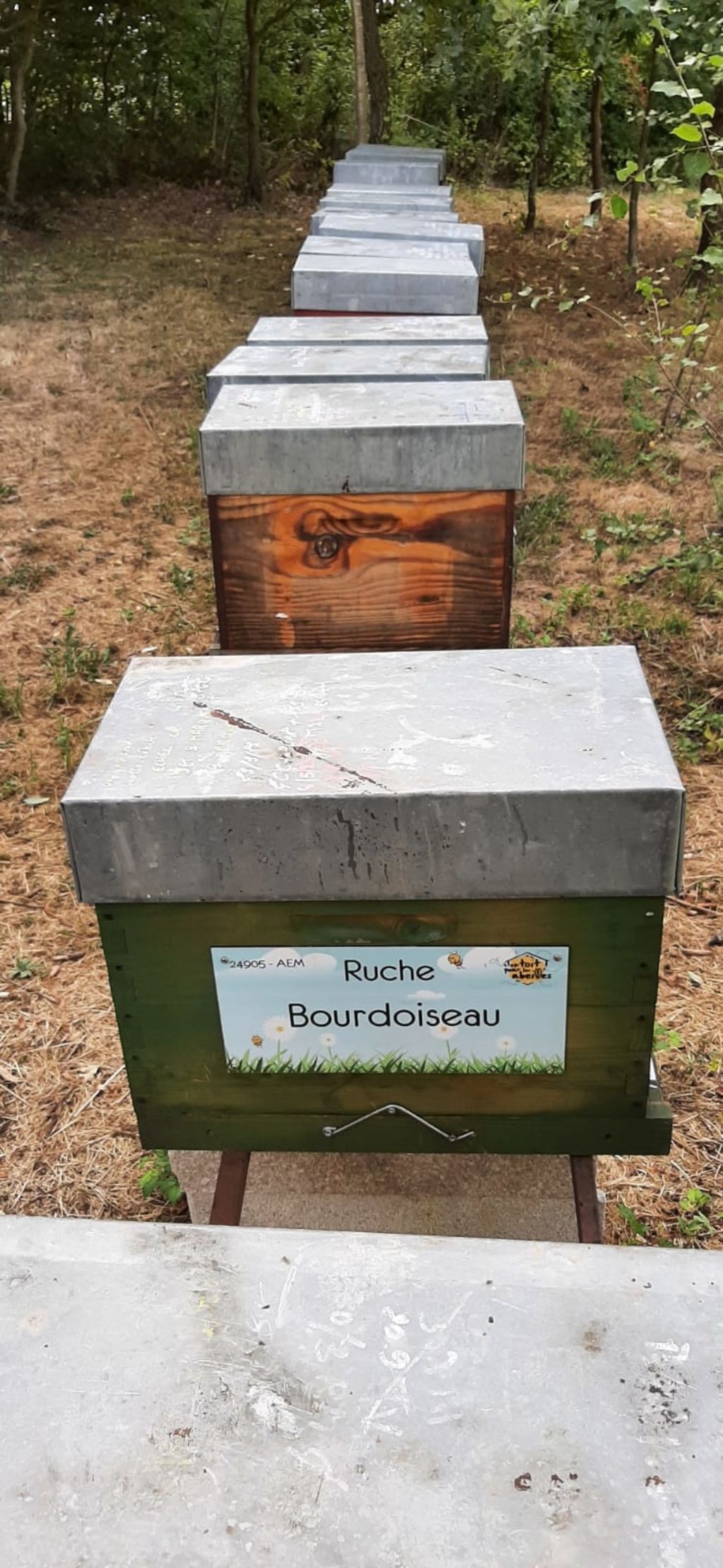 La ruche Bourdoiseau