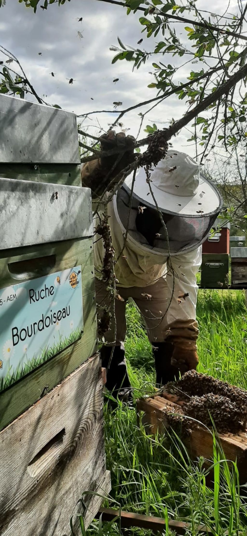 La ruche Bourdoiseau