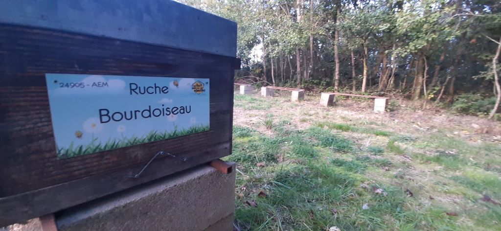 La ruche Bourdoiseau