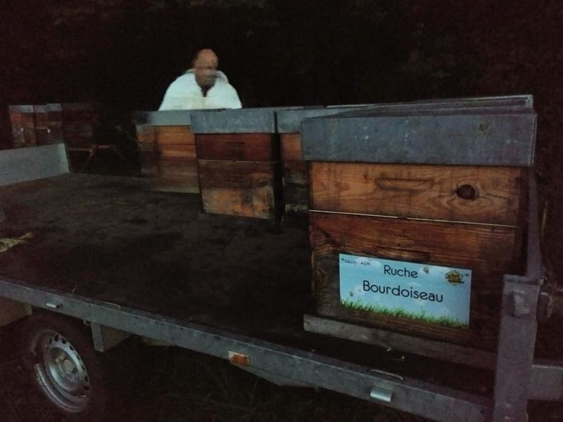 La ruche Bourdoiseau