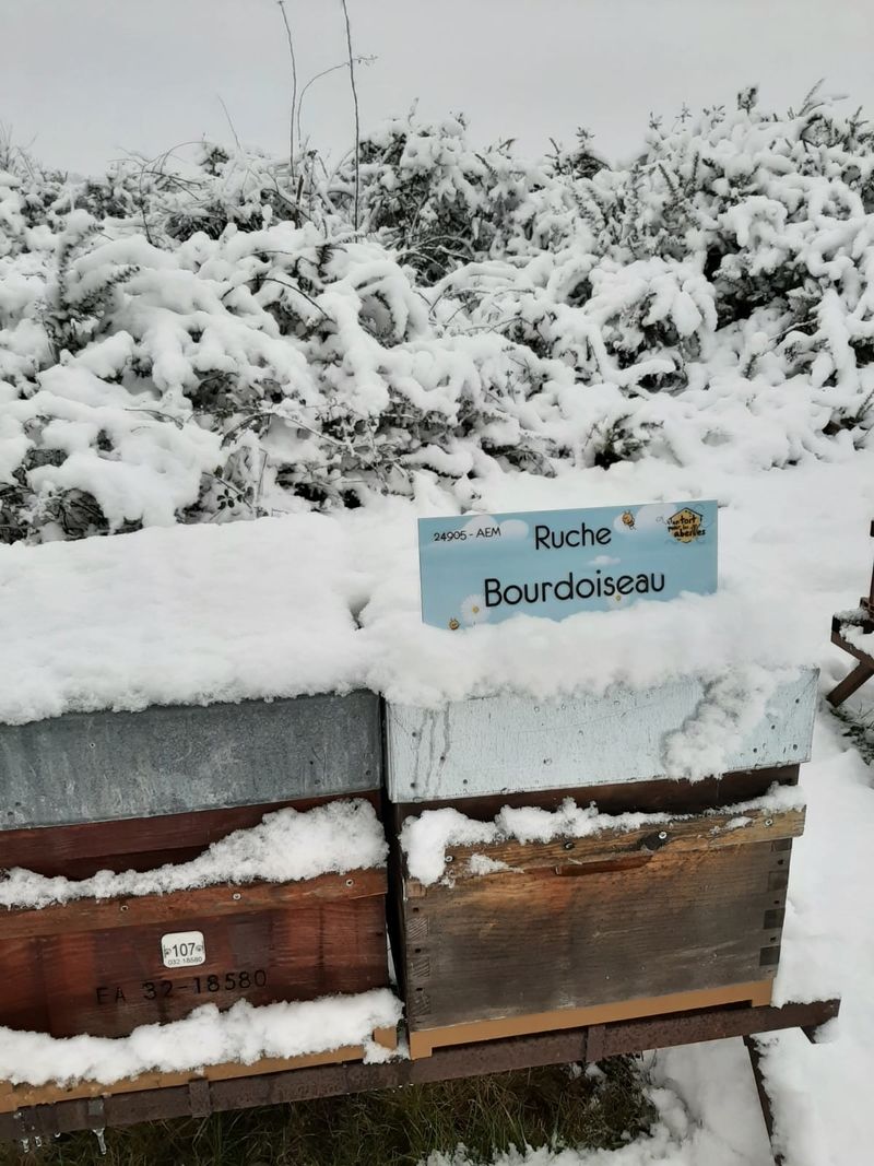 La ruche Bourdoiseau