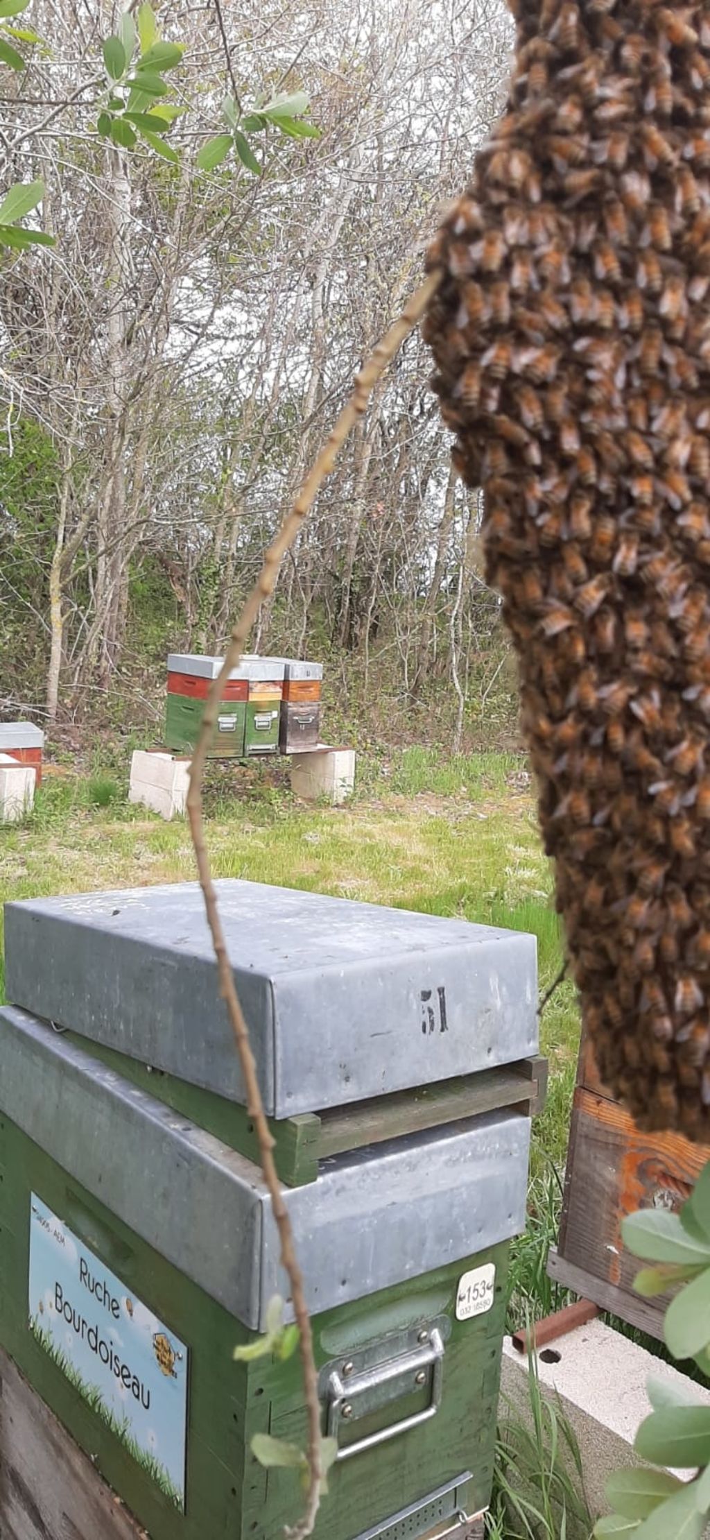 La ruche Bourdoiseau