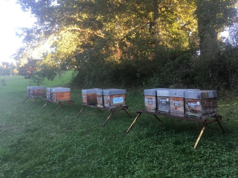 La ruche Bourdoiseau