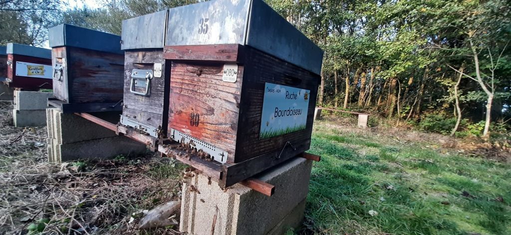 La ruche Bourdoiseau