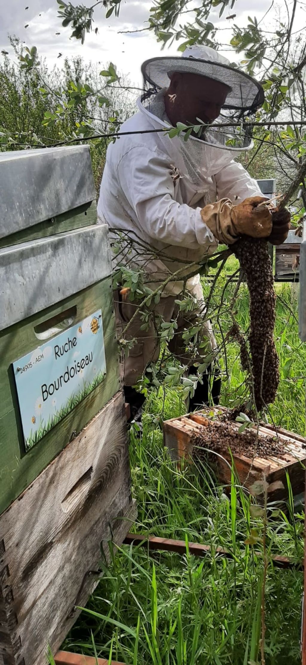 La ruche Bourdoiseau